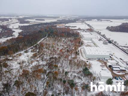 DZIAŁKA POD USŁUGI W POGALEWIE WIELKIM - 1,6 ha