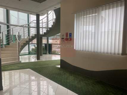 Nieruchomość komercyjna do wynajęcia, 800 m2, Piaseczno
