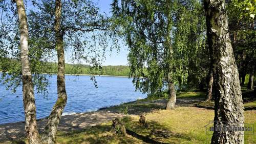 Okole - Grunt siedliskowy w otoczeniu lasu ok. 100