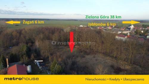 Działka blisko Pałacu - Dzietrzychowice k/Żagania