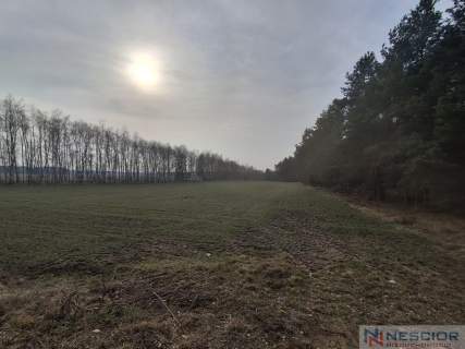 Dwie działki budowlane po 1000 m w Boroszkowie