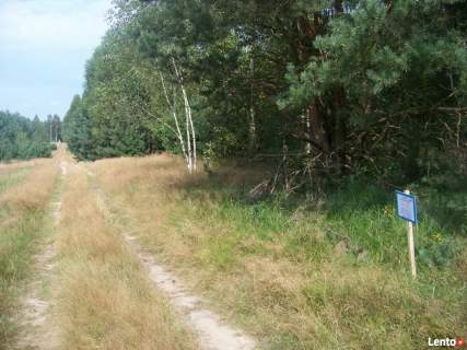 Sprzedam działkę