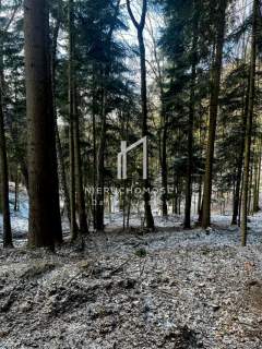 DUŻY LAS 100-LETNI, PIETRUSZA WOLA, GM. WOJASZÓWKA, 3,46HA