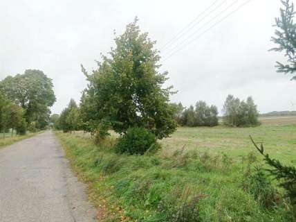 Działka pod zabudowę mieszkaniową