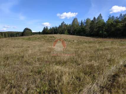 11 ha KLONOWO DOLNE -zabudowa mieszkaniowa