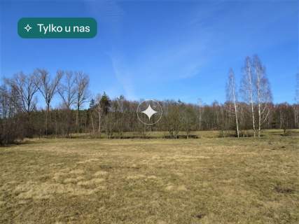 Łąka i las w Cieleśnicy