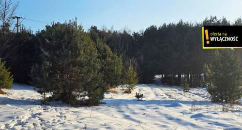 Działka 88 arów z lasem i możliwą zabudową