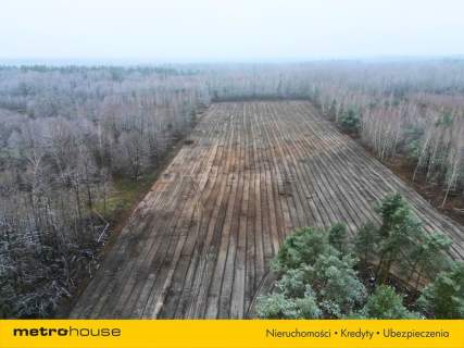 Top lokalizacja S17 4,7 ha pod centrum logistyczne
