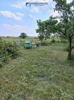 Dom wolnostojący 250m2 Działka 34ar Budynki