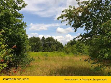 Działka inwestycyjna na sprzedaż, 10773 m2, Cisie