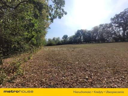 Działka budowlana 2.6 ha z zabytkowym pałacem.