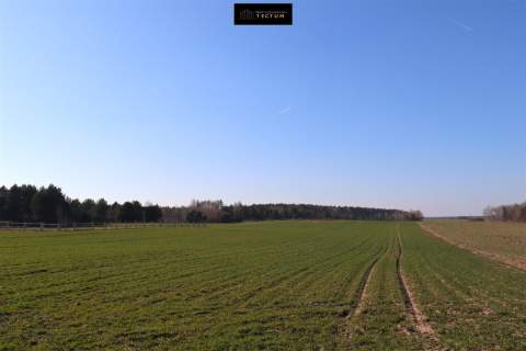 Działka budowlana Bartodzieje, Wągrowiec