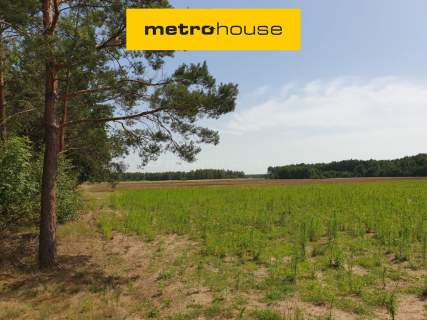 Działka na sprzedaż, 15000 m2, Blinno