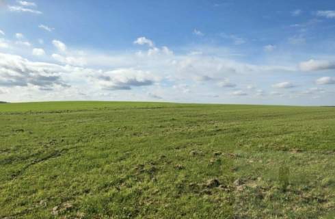 Na sprzedaż działka budowlana   Lędzin, 1312 m2