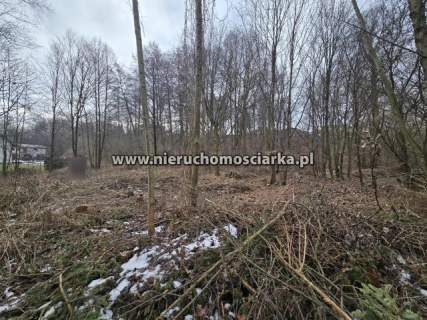 Działka budowlano-zielona, las, strumyk Chrobrego