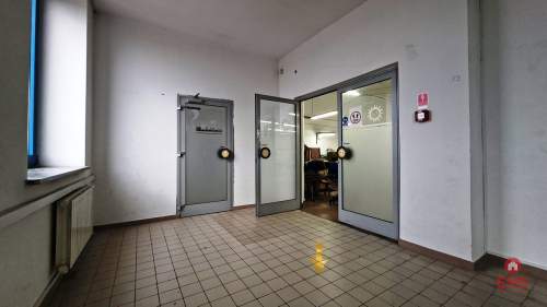 Lokal użytkowy 300 m2 na wynajem