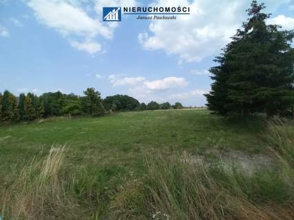 Dom wolnostojący 250m2 Działka 34ar Budynki