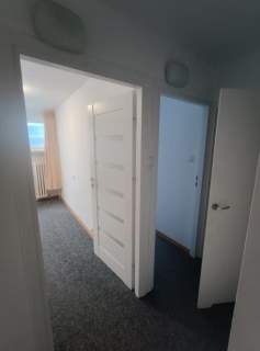 Centrum 3 pok, Emili Plater Ciche, winda, piętro 4/7