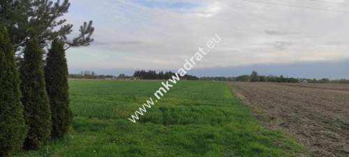 3416m2 Pasikonie k/Kampinosu z warunkami zabudowy 