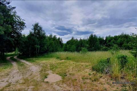 Silnowo - działka rekreacyjna ok 300 m od Jeziora