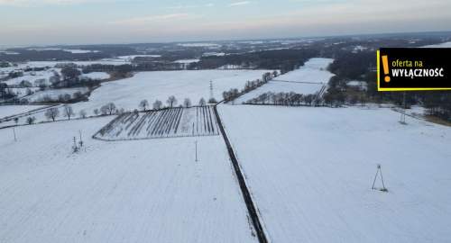 Twoja Przestrzeń 3039 m przed strumykiem - Pszów