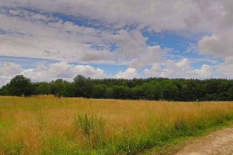 Działka budowlana na sprzedaż, 1500 m2, Charzyno