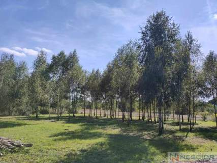 Działka Teodorów - 1025 m2 