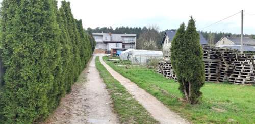 Mieszkanie 3 pok. 660 m2 działki