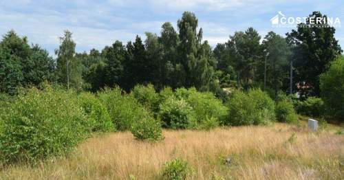 Działka 1147 m2 pod dom jednorodzinny Piechowice, gmina Dziemiany...