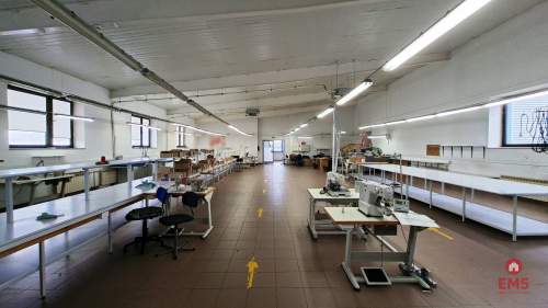 Lokal użytkowy 300 m2 na wynajem