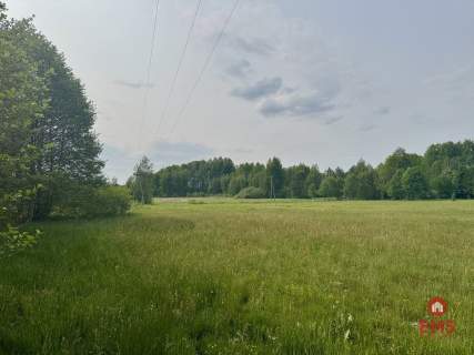 Działka w Kosmatym Borku