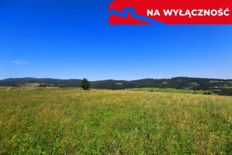 Działa w Grywałdzie z możliwością uzyskania WZ