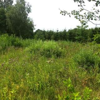 Dygowo teren 10,2 ha ze stawem w lesie