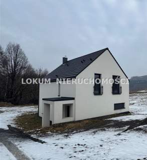 Gogołowa
