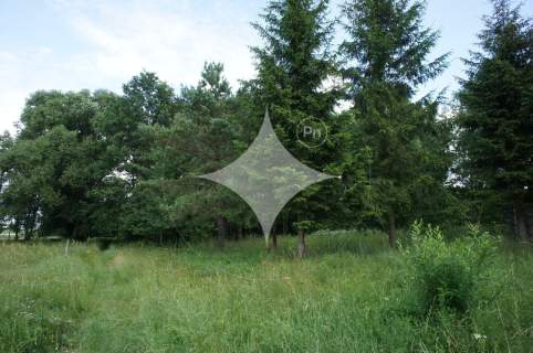 Działka rolno-budowlana nad j. Tajno, Orzechówka