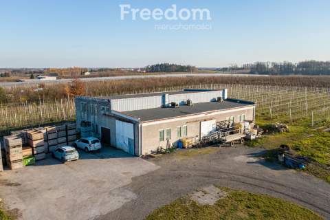 11 ha w Bikówku powiat grójecki