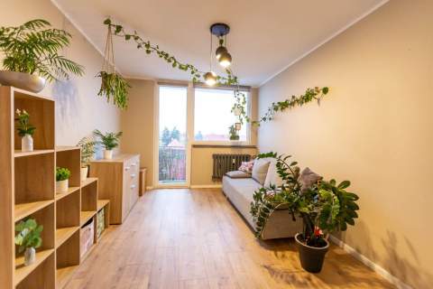 Do wynajęcia 3 pokoje w centrum Zielonej Góry 