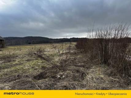 Działka w Kopytowej