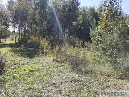 Działka Teodorów - 1025 m2 