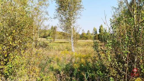Ciasne. Działka budowlana 5100 m2.