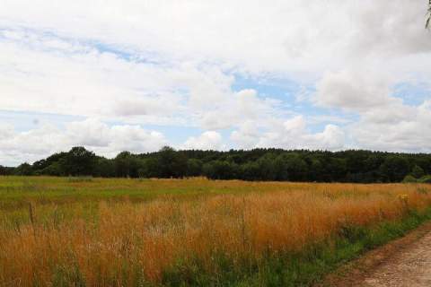 Działka budowlana na sprzedaż, 1500 m2, Charzyno