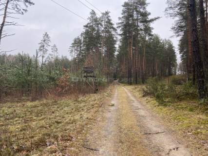 Zaborowo-Działka 4026 m2 na Mazurach