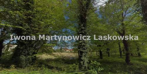 30 ar działka budowlana koło Lubina - Siedlce