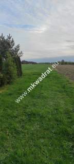 3416m2 Pasikonie k/Kampinosu z warunkami zabudowy 