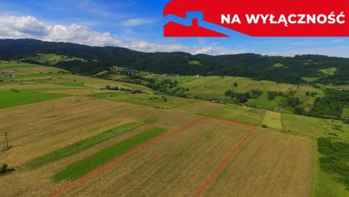 Działka w Grywałdzie 1,1003 ha warunki zabudowy