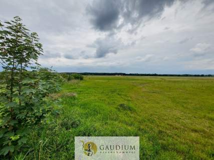 Turystyka nad brzegiem rzeki Obry