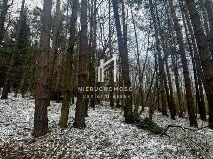 DUŻY LAS 100-LETNI, PIETRUSZA WOLA, GM. WOJASZÓWKA, 3,46HA
