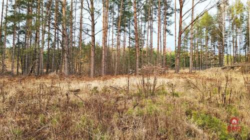 Działka 8500 m2, Jurowce