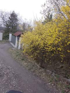 Sprzedaż domu wielorodzinnego