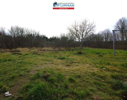 2 domy na działce 3772 m2 w Wieleniu